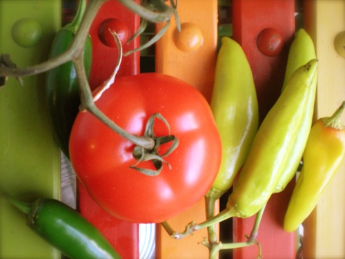 Tomato and Peppers