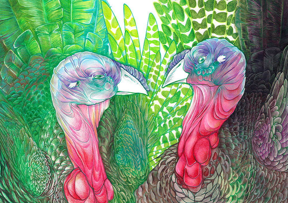 Green Turkeys 1 and 2