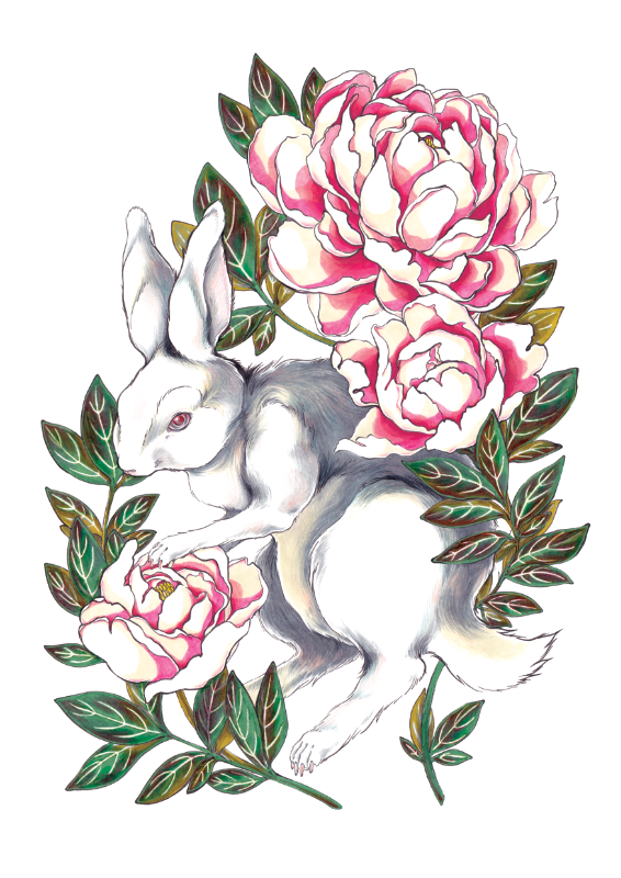 White Rabbit with Peonies